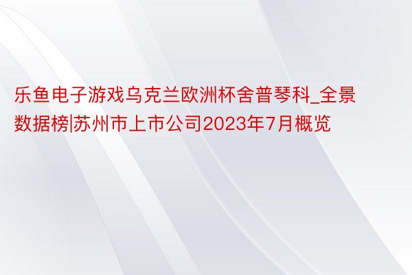 乐鱼电子游戏乌克兰欧洲杯舍普琴科_全景数据榜|苏州市上市公司2023年7月概览